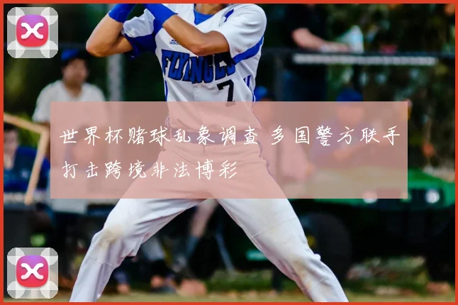 世界杯赌球乱象调查 多国警方联手打击跨境非法博彩